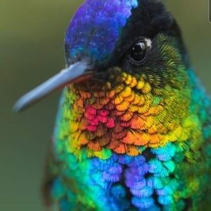 Meet your Posher, Alba